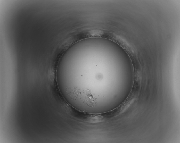 X0000102380321200808081142