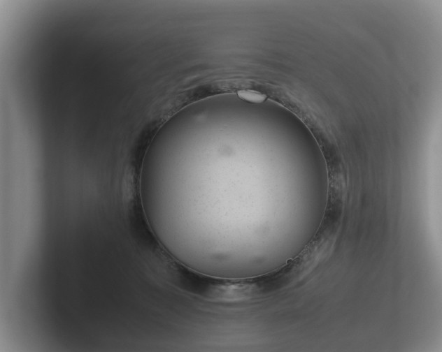 X0000102380323200808081142