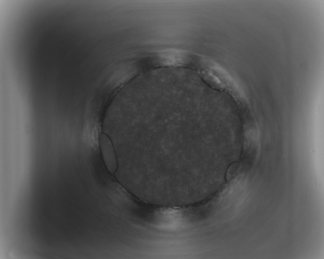 X0000102380325200808081142