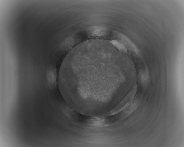 X0000102380328200808081142