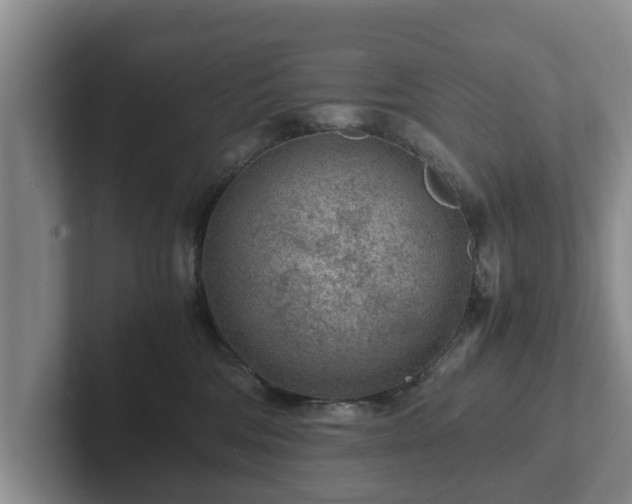 X0000102380330200808081142