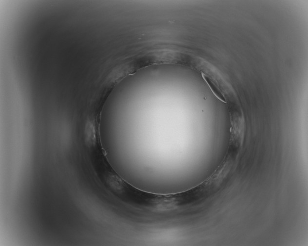 X0000102380333200808081142