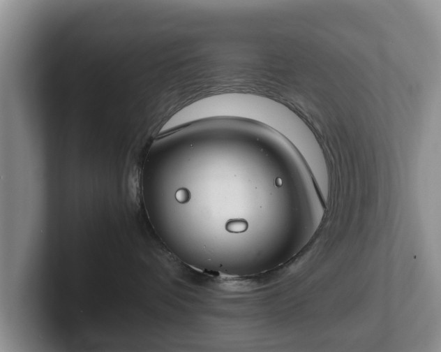 X0000102380336200808081142