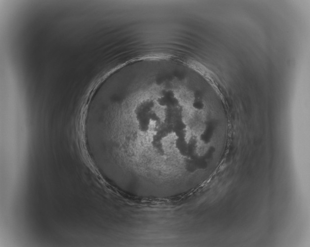 X0000102380337200808081142