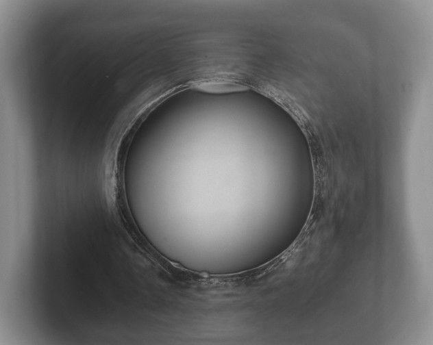 X0000102380338200808081142