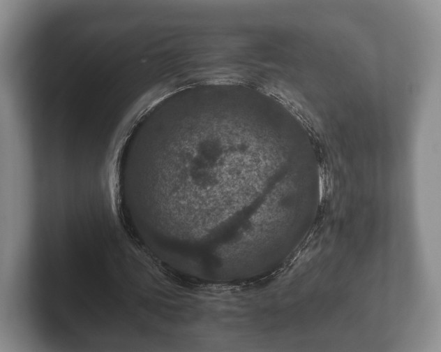 X0000102380339200808081142