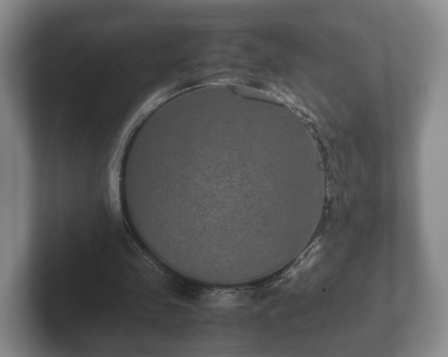 X0000102380341200808081142