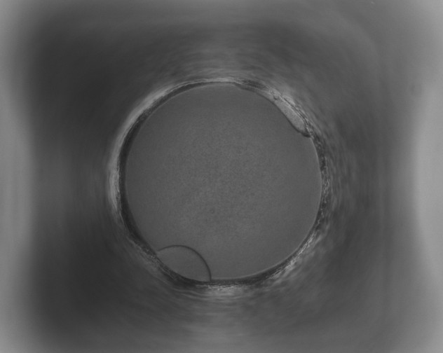 X0000102380342200808081142