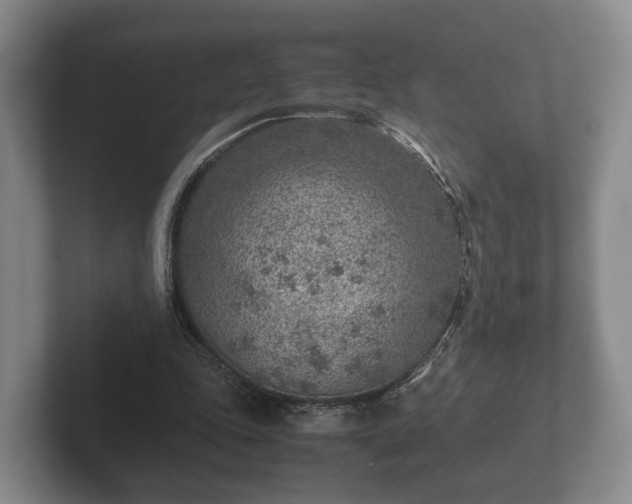 X0000102380343200808081142