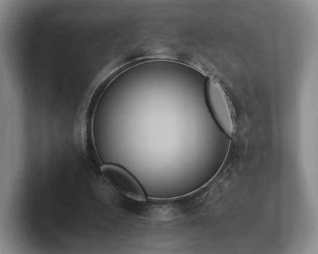 X0000102380344200808081142