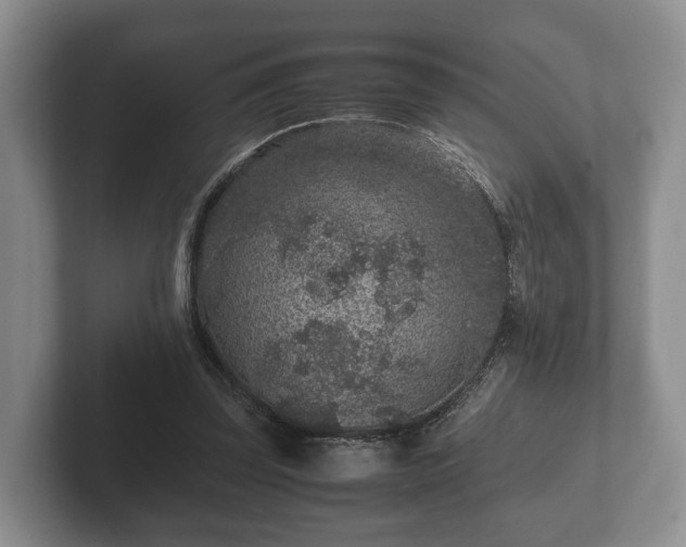 X0000102380347200808081142