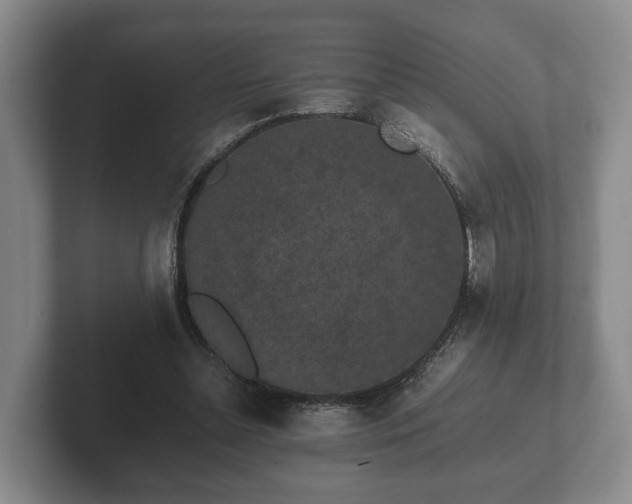 X0000102380348200808081142