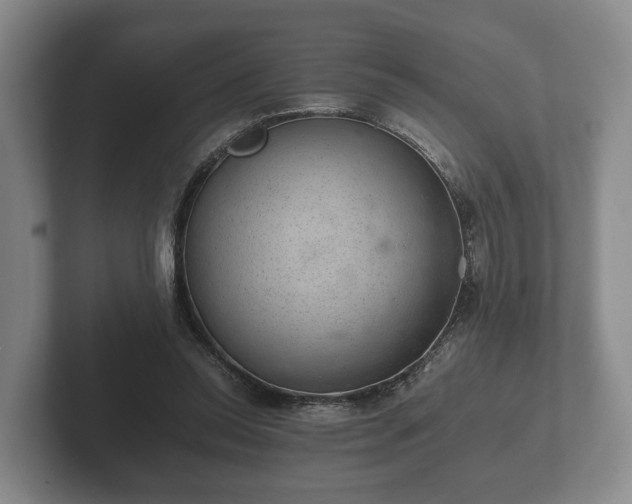 X0000102380350200808081142