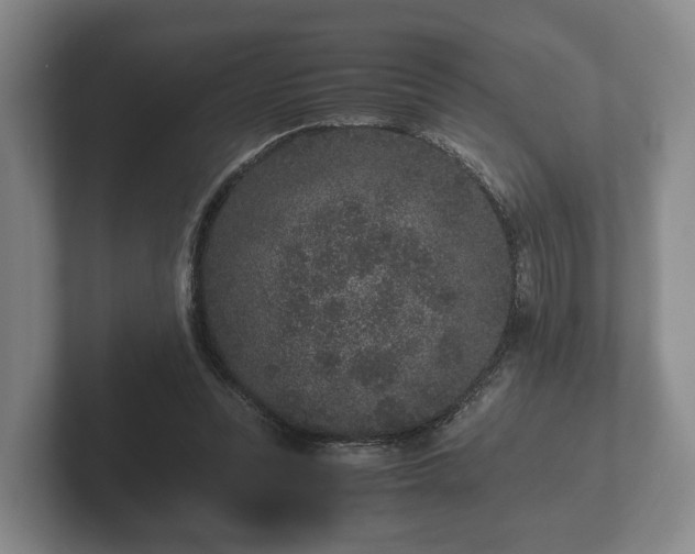 X0000102380351200808081142