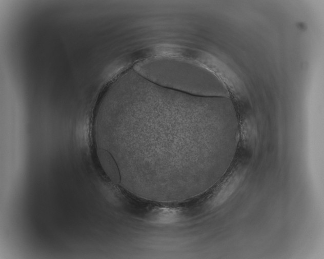 X0000102380352200808081142