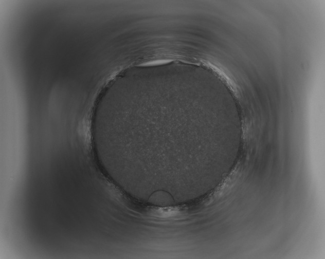 X0000102380353200808081142