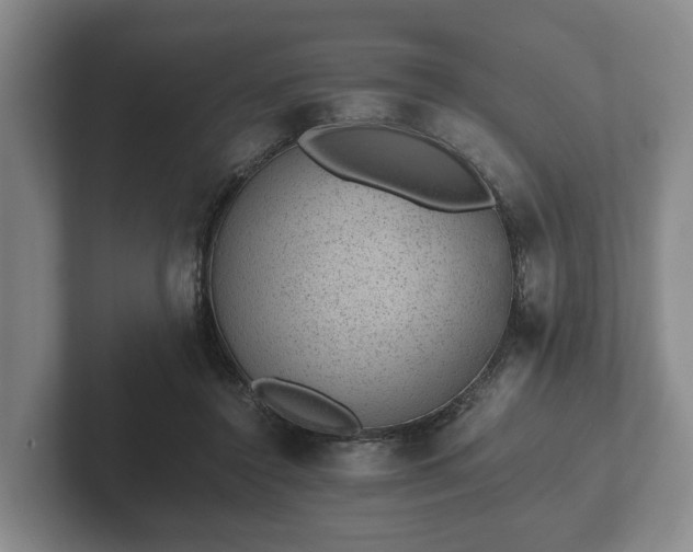 X0000102380356200808081142