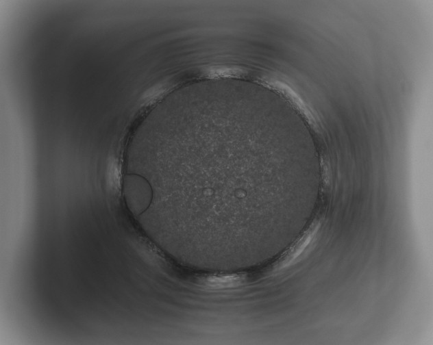 X0000102380357200808081142