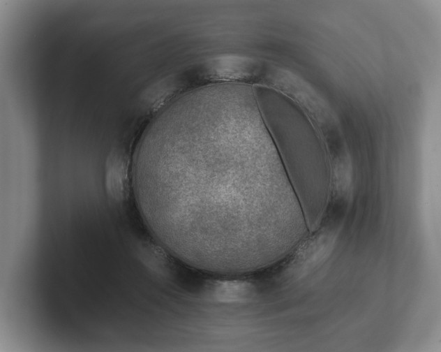 X0000102380360200808081142