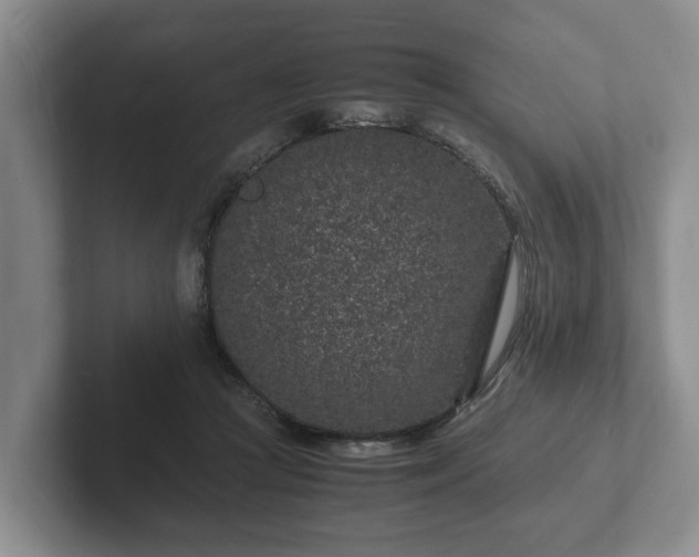 X0000102380361200808081142