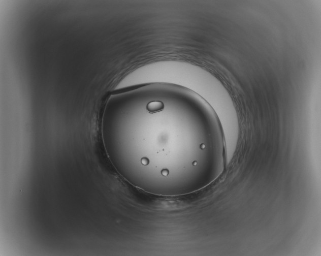 X0000102380372200808081142