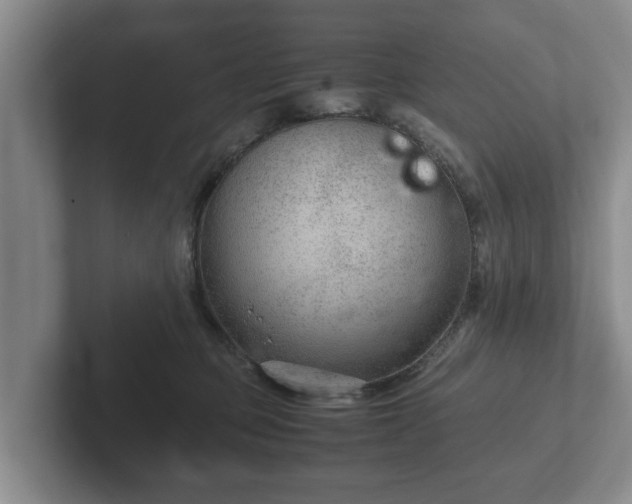 X0000102380373200808081142