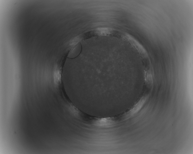 X0000102380382200808081142