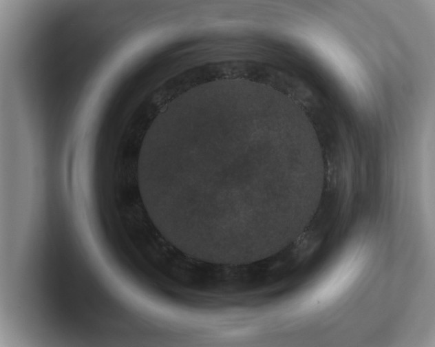 X0000102380383200808081142