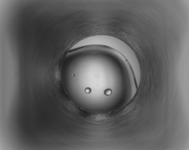 X0000102380384200808081142