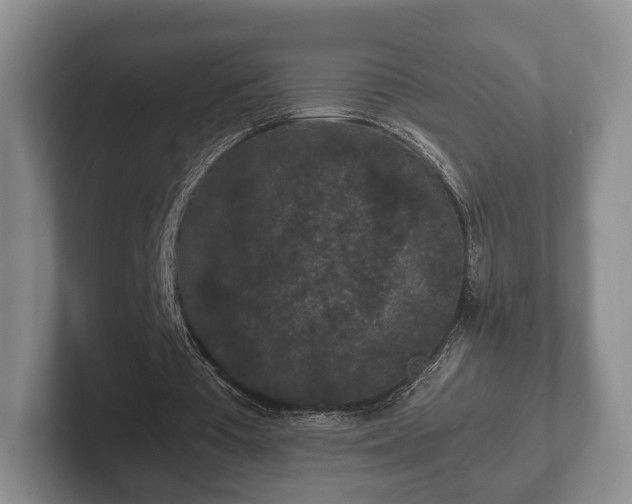 X0000102380385200808081142