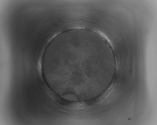 X0000102380386200808081142