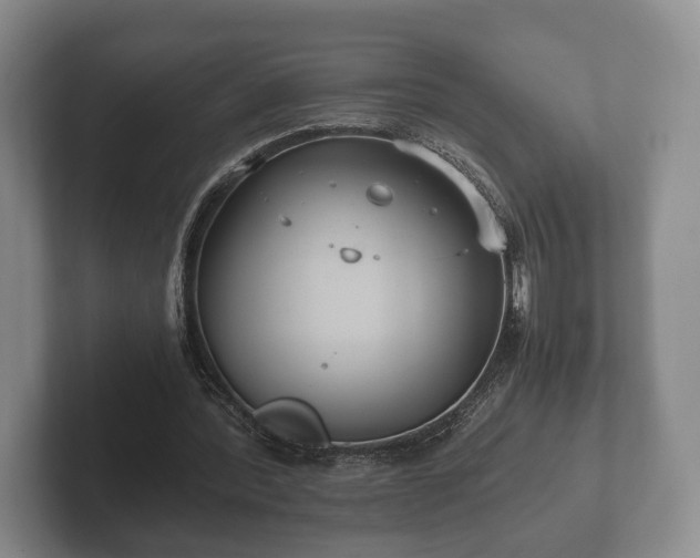 X0000102380388200808081142