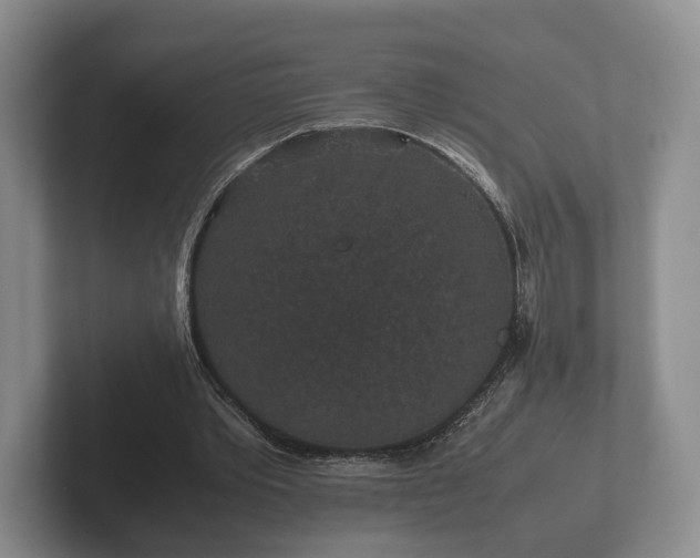 X0000102380389200808081142