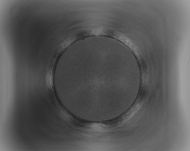 X0000102380393200808081142