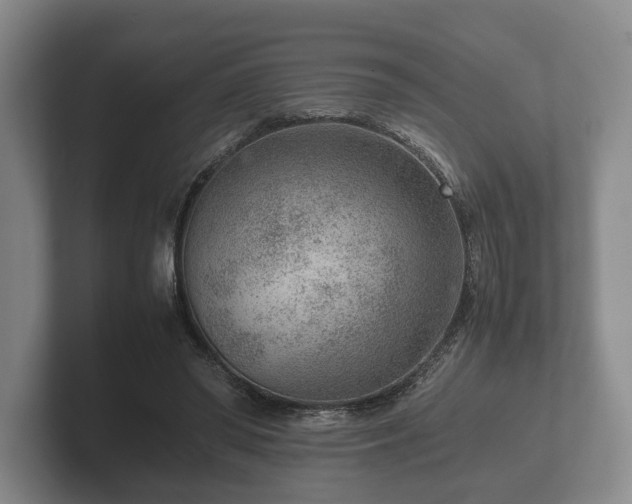 X0000102380398200808081141