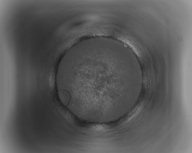 X0000102380402200808081141