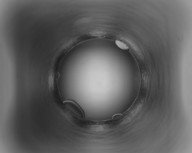 X0000102380404200808081141