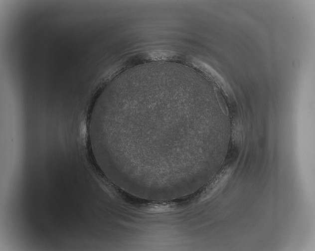 X0000102380405200808081141