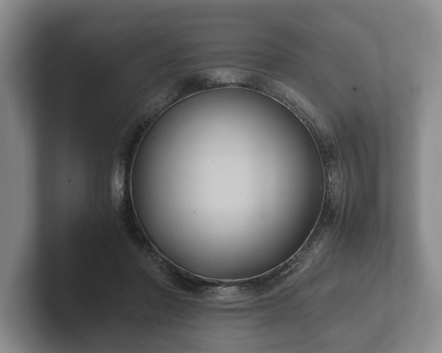 X0000102380406200808081141