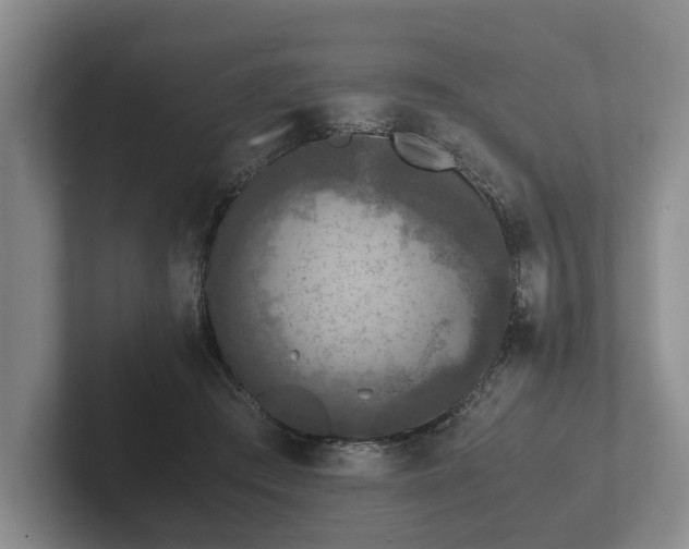 X0000102380409200808081141