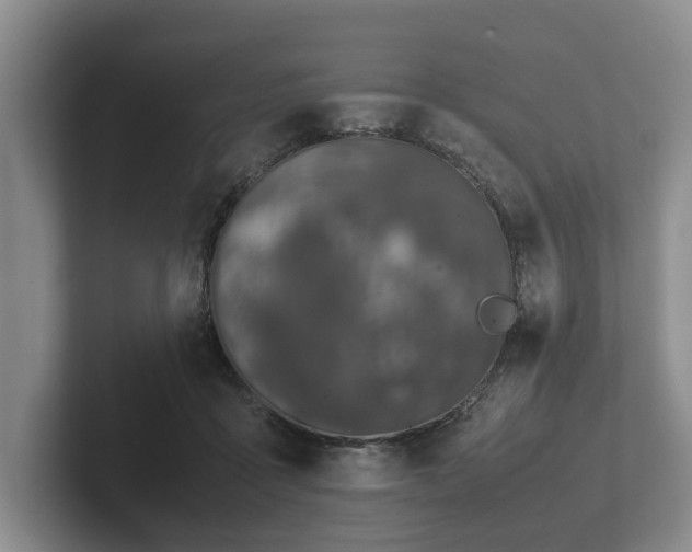 X0000102380411200808081141