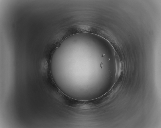 X0000102380412200808081141