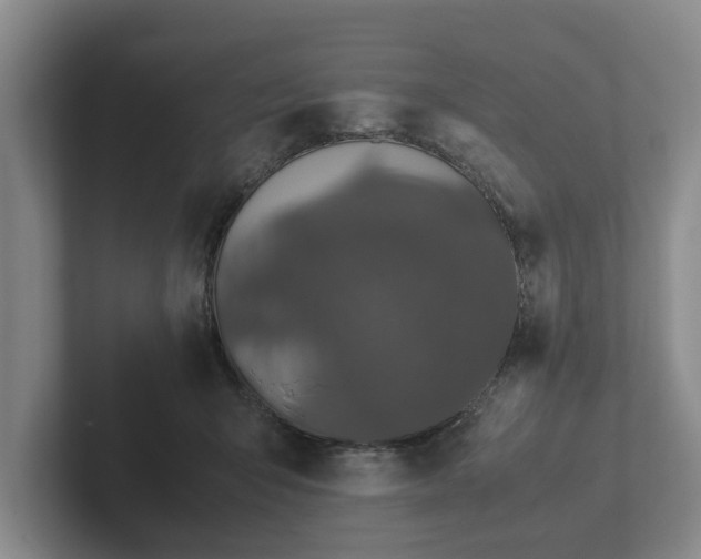 X0000102380415200808081141