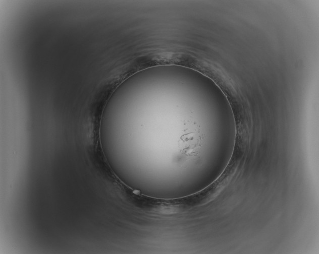 X0000102380416200808081141