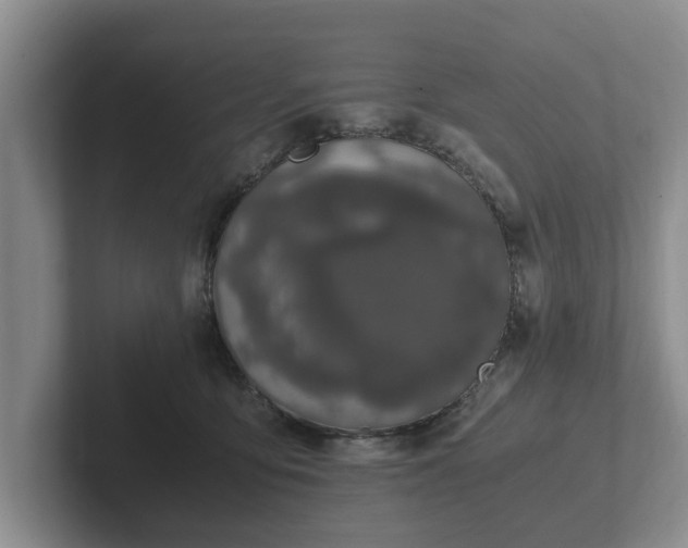 X0000102380419200808081141