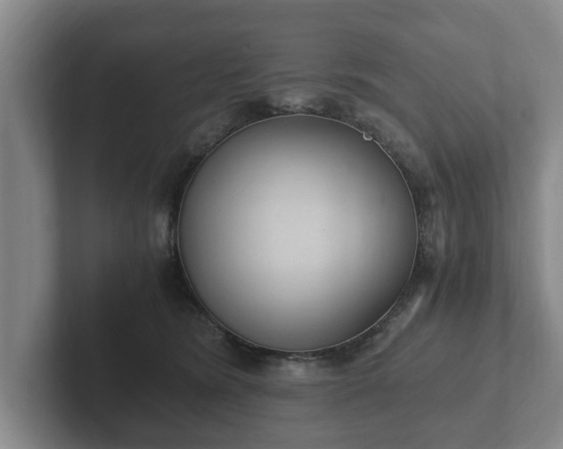 X0000102380420200808081141