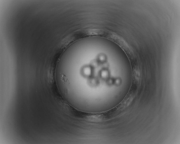 X0000102380422200808081141