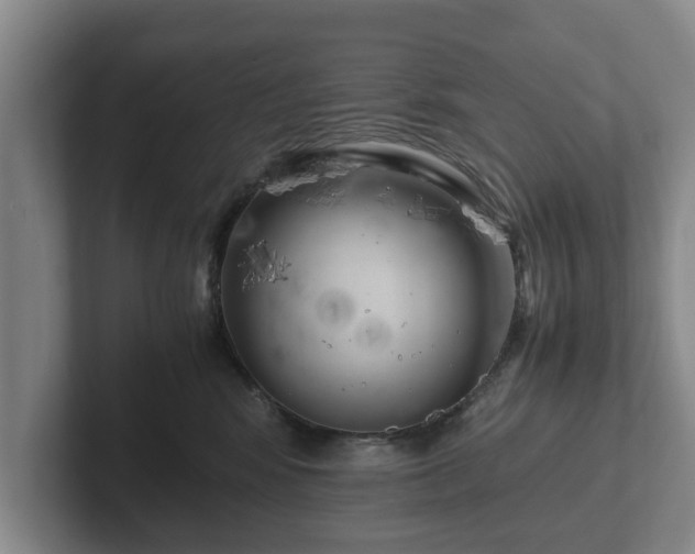 X0000102380424200808081141