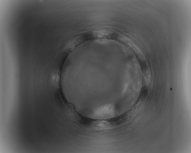 X0000102380427200808081141