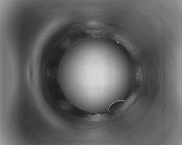 X0000102380430200808081141